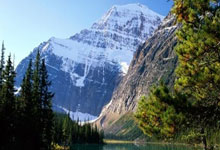 包含佛罗伦萨主场战胜对手，豪取四连胜的词条